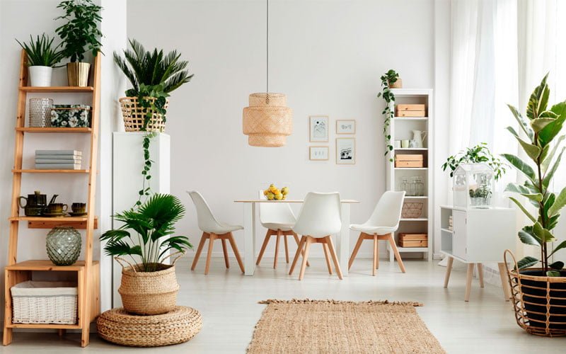 9 Ways to Add the Natural Elements To Your Home Decor