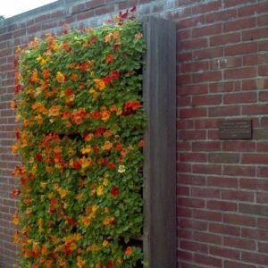 Garage Wall Ideas: Top 16 Ideas to Transform your Garage in 2024